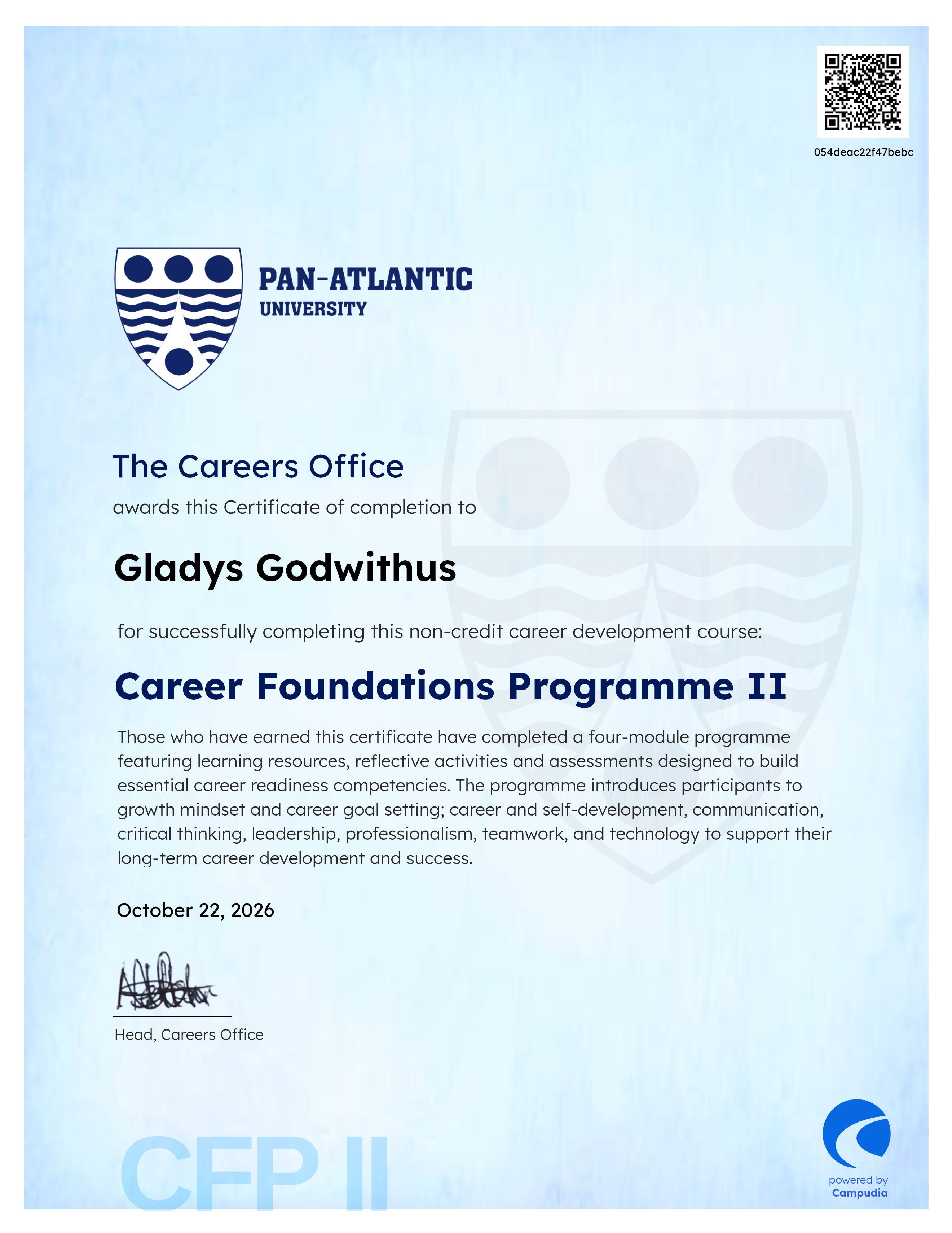 Career Foundations Programme II